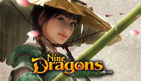 9Dragons on Steam.